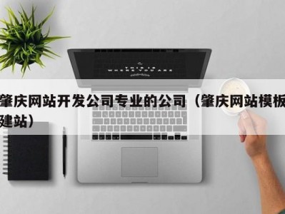肇庆网站开发公司专业的公司（肇庆网站模板建站）