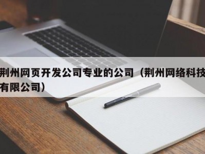 荆州网页开发公司专业的公司（荆州网络科技有限公司）