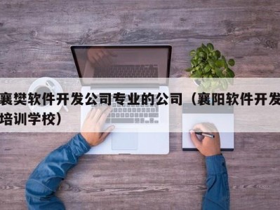襄樊软件开发公司专业的公司（襄阳软件开发培训学校）