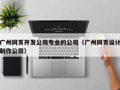 广州网页开发公司专业的公司（广州网页设计制作公司）