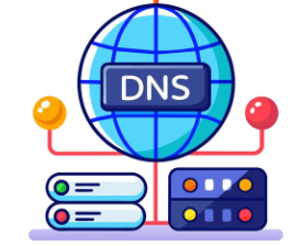 DNS反向查询